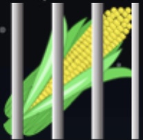 High Quality Corn jail Blank Meme Template