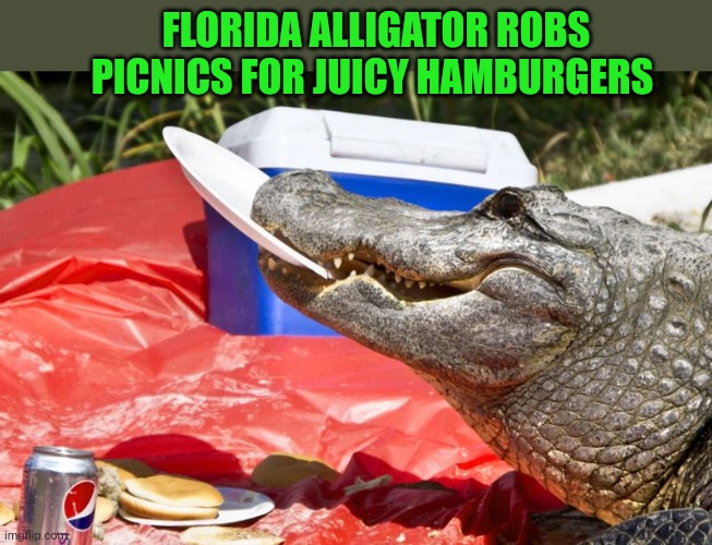 FLORIDA ALLIGATOR ROBS PICNICS FOR JUICY HAMBURGERS | made w/ Imgflip meme maker