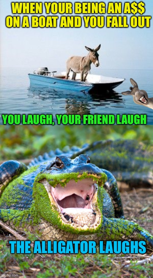 Alligator March while the mods are asleep | WHEN YOUR BEING AN A$$ ON A BOAT AND YOU FALL OUT; YOU LAUGH, YOUR FRIEND LAUGH; THE ALLIGATOR LAUGHS | image tagged in donkey on a boat,alligator | made w/ Imgflip meme maker