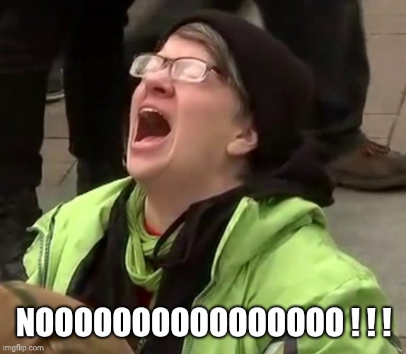 Crying Liberal | NOOOOOOOOOOOOOOOO ! ! ! | image tagged in crying liberal | made w/ Imgflip meme maker
