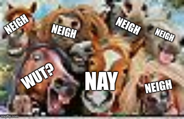 NEIGH NEIGH NEIGH NEIGH NAY WUT? NEIGH | made w/ Imgflip meme maker