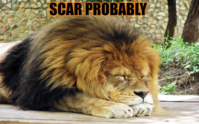 The mods are asleep. Quick post cats! | SCAR PROBABLY | image tagged in scar,lion,post,this,cat | made w/ Imgflip meme maker