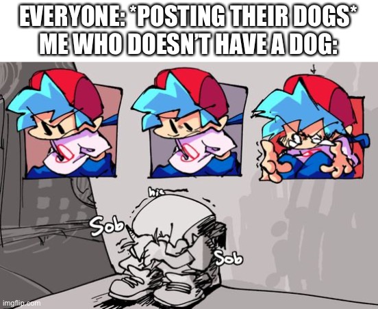 J | EVERYONE: *POSTING THEIR DOGS*
ME WHO DOESN’T HAVE A DOG: | image tagged in sobbing boyfriend | made w/ Imgflip meme maker