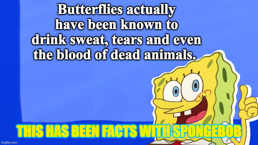 Wormy is a lot scarier | Butterflies actually have been known to drink sweat, tears and even the blood of dead animals. THIS HAS BEEN FACTS WITH SPONGEBOB | image tagged in spongebob facts,facts with spongebob | made w/ Imgflip meme maker