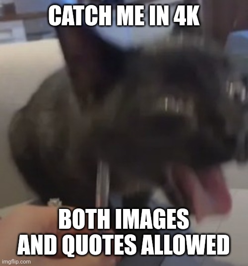 When the | CATCH ME IN 4K; BOTH IMAGES AND QUOTES ALLOWED | image tagged in when the | made w/ Imgflip meme maker