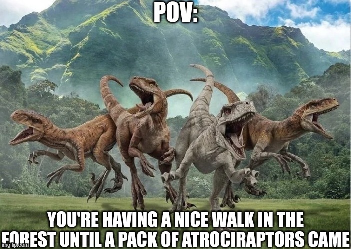 Rules:No op OCs and characters,weaponized OCs and characters,and no ending roleplay | POV:; YOU'RE HAVING A NICE WALK IN THE FOREST UNTIL A PACK OF ATROCIRAPTORS CAME | image tagged in jurassic park,jurassic world,dinosaur,roleplaying | made w/ Imgflip meme maker
