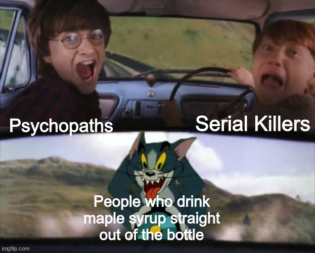 Tom chasing Harry and Ron Weasly | Serial Killers; Psychopaths; People who drink maple syrup straight out of the bottle | image tagged in tom chasing harry and ron weasly,memes,dank memes,funny,funny memes | made w/ Imgflip meme maker