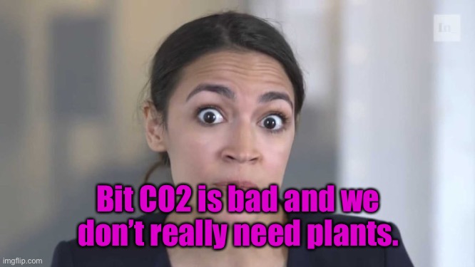 Crazy Alexandria Ocasio-Cortez | Bit CO2 is bad and we don’t really need plants. | image tagged in crazy alexandria ocasio-cortez | made w/ Imgflip meme maker