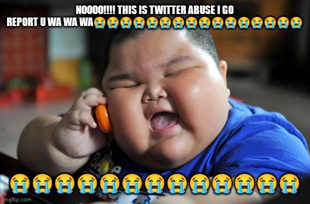 Fat Asian Kid | NOOOO!!!! THIS IS TWITTER ABUSE I GO REPORT U WA WA WA???????????????? ????????????? | image tagged in fat asian kid | made w/ Imgflip meme maker