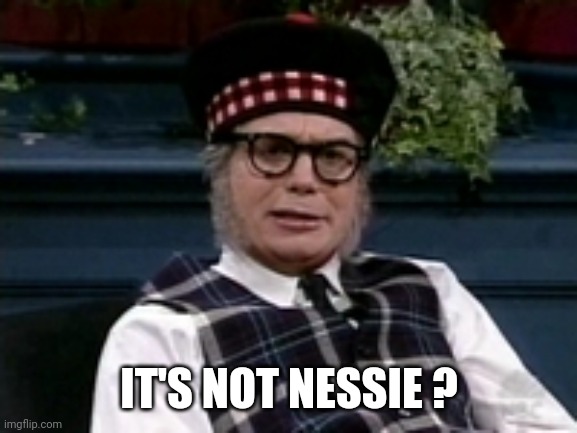 If its not Scottish | IT'S NOT NESSIE ? | image tagged in if its not scottish | made w/ Imgflip meme maker