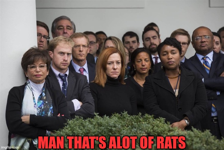 MAN THAT'S ALOT OF RATS | made w/ Imgflip meme maker