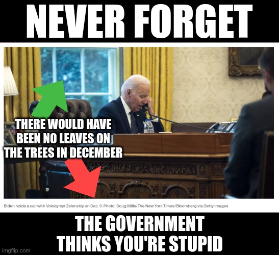 Don't think for one second that you're their top priority | NEVER FORGET; THERE WOULD HAVE BEEN NO LEAVES ON THE TREES IN DECEMBER; THE GOVERNMENT THINKS YOU'RE STUPID | image tagged in government corruption | made w/ Imgflip meme maker