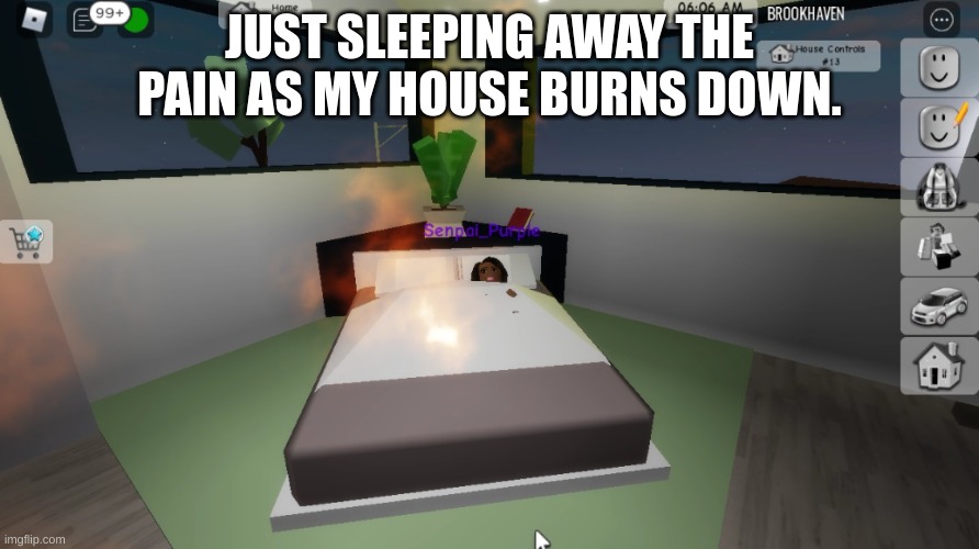 JUST SLEEPING AWAY THE PAIN AS MY HOUSE BURNS DOWN. | made w/ Imgflip meme maker