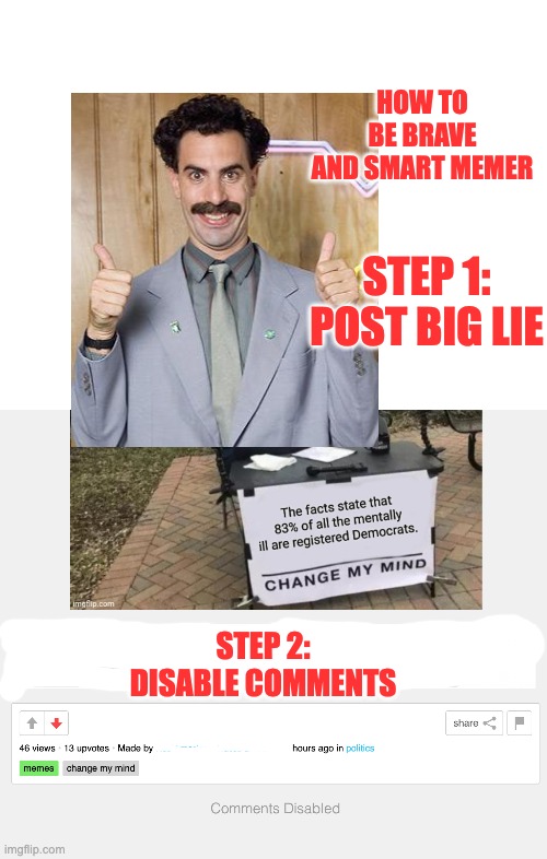 lying on Politics is okay: calling it out is "harassment" | HOW TO BE BRAVE AND SMART MEMER; STEP 1: POST BIG LIE; STEP 2: DISABLE COMMENTS | image tagged in blank white template,borat,big lie | made w/ Imgflip meme maker
