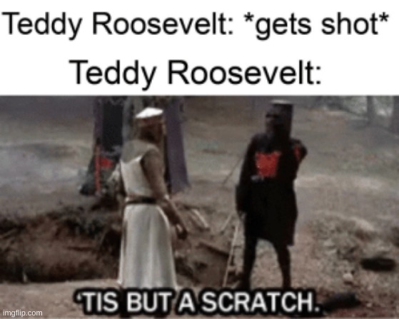 image tagged in memes,history memes,teddy roosevelt | made w/ Imgflip meme maker