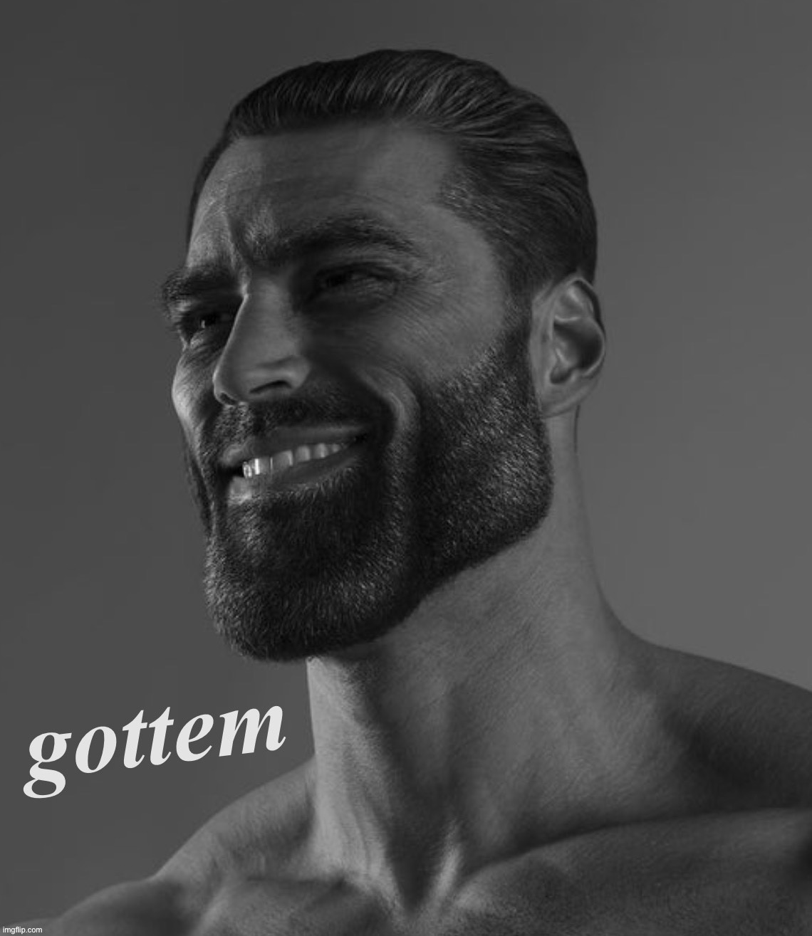 Giga Chad gottem | image tagged in giga chad gottem | made w/ Imgflip meme maker