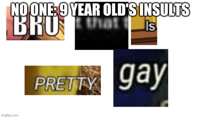 Bro that is pretty gay | NO ONE: 9 YEAR OLD'S INSULTS | image tagged in bro that is pretty gay | made w/ Imgflip meme maker