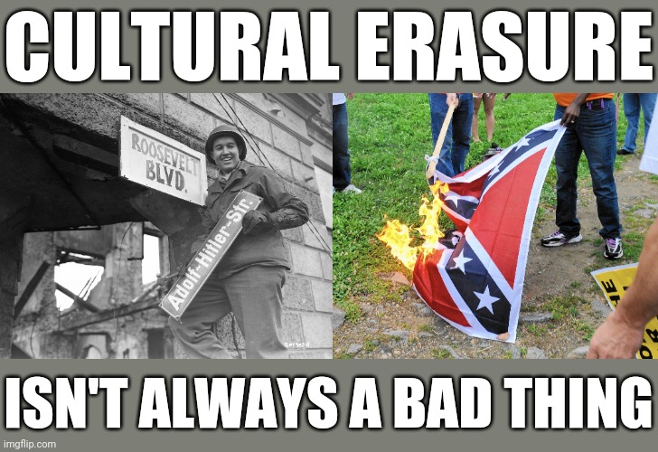 Yes the Jews will replace you, and we're going to help them. | CULTURAL ERASURE; ISN'T ALWAYS A BAD THING | image tagged in denazification,confederate flag burning,cancel culture,will you shut up man,trump lies,gtfo | made w/ Imgflip meme maker