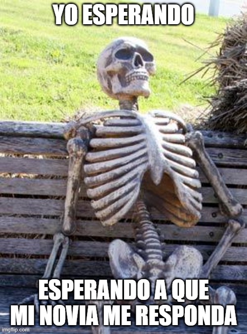 Waiting Skeleton | YO ESPERANDO; ESPERANDO A QUE MI NOVIA ME RESPONDA | image tagged in memes,waiting skeleton | made w/ Imgflip meme maker