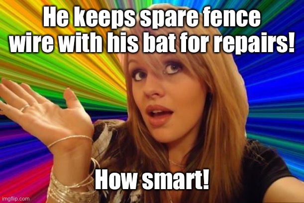 Dumb Blonde Meme | He keeps spare fence wire with his bat for repairs! How smart! | image tagged in memes,dumb blonde | made w/ Imgflip meme maker