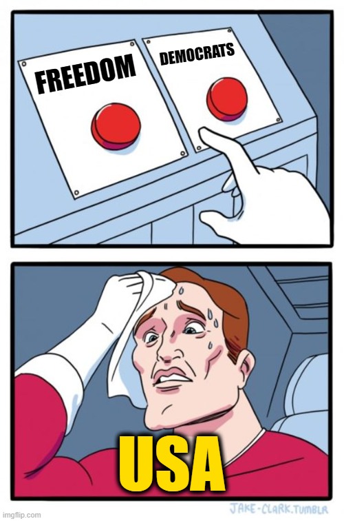 You can Only Choose One | DEMOCRATS; FREEDOM; USA | image tagged in memes,two buttons | made w/ Imgflip meme maker