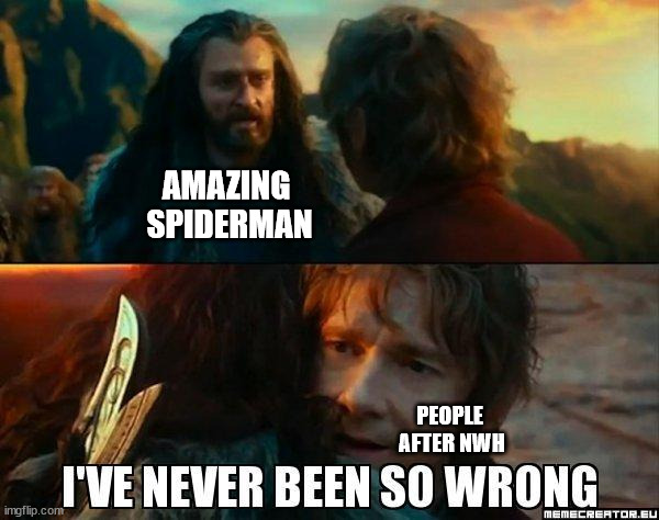 I have never been so wrong | AMAZING 
SPIDERMAN; PEOPLE 
AFTER NWH | image tagged in i have never been so wrong | made w/ Imgflip meme maker