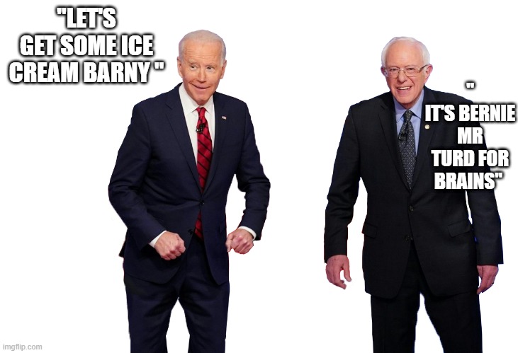 Yum Ice Cream | " IT'S BERNIE MR TURD FOR BRAINS"; "LET'S GET SOME ICE CREAM BARNY " | image tagged in buddies | made w/ Imgflip meme maker