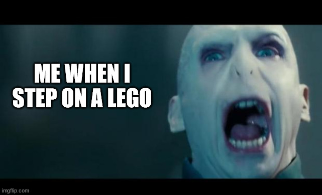 voldemort | ME WHEN I STEP ON A LEGO | image tagged in voldemort | made w/ Imgflip meme maker