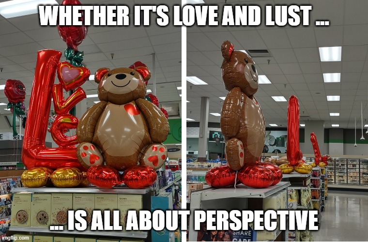 Bear Love Balloons that Look Like Dicks from the Side | WHETHER IT'S LOVE AND LUST ... ... IS ALL ABOUT PERSPECTIVE | image tagged in bear love dick balloons | made w/ Imgflip meme maker