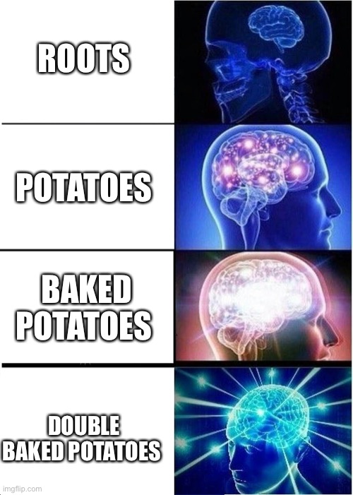 Expanding Brain | ROOTS; POTATOES; BAKED POTATOES; DOUBLE BAKED POTATOES | image tagged in memes,expanding brain | made w/ Imgflip meme maker