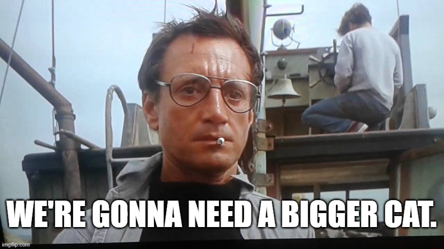 We're gonna need a bigger boat | WE'RE GONNA NEED A BIGGER CAT. | image tagged in we're gonna need a bigger boat | made w/ Imgflip meme maker