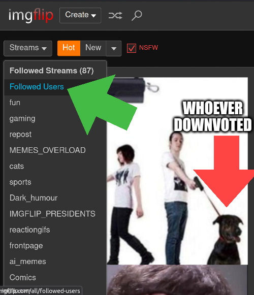 WHOEVER DOWNVOTED | made w/ Imgflip meme maker