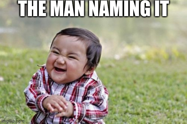 THE MAN NAMING IT | image tagged in memes,evil toddler | made w/ Imgflip meme maker