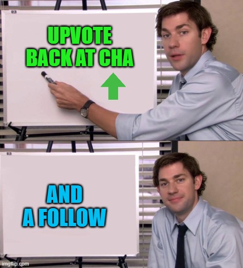 jim | UPVOTE BACK AT CHA AND A FOLLOW | image tagged in jim | made w/ Imgflip meme maker