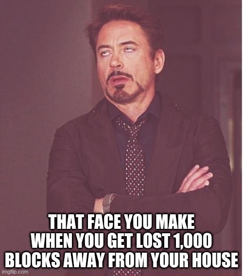 I think we can all relate... | THAT FACE YOU MAKE WHEN YOU GET LOST 1,000 BLOCKS AWAY FROM YOUR HOUSE | image tagged in memes,face you make robert downey jr,minecraft | made w/ Imgflip meme maker