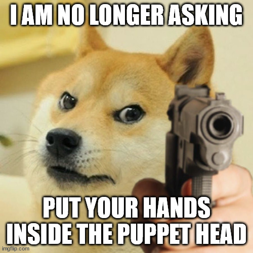 tmbg reference, etc, etc |  I AM NO LONGER ASKING; PUT YOUR HANDS INSIDE THE PUPPET HEAD | image tagged in doge pointing gun meme template | made w/ Imgflip meme maker