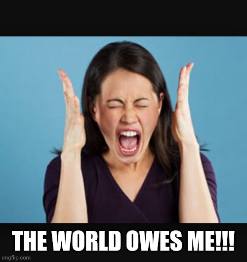 Entitled Bitch | THE WORLD OWES ME!!! | image tagged in screaming woman | made w/ Imgflip meme maker