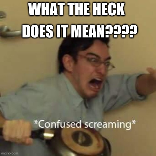 filthy frank confused scream | WHAT THE HECK DOES IT MEAN???? | image tagged in filthy frank confused scream | made w/ Imgflip meme maker