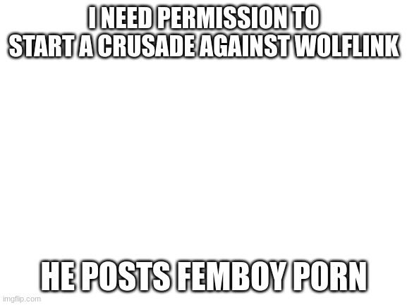 Blank White Template | I NEED PERMISSION TO START A CRUSADE AGAINST WOLFLINK; HE POSTS FEMBOY P0RN | image tagged in blank white template | made w/ Imgflip meme maker
