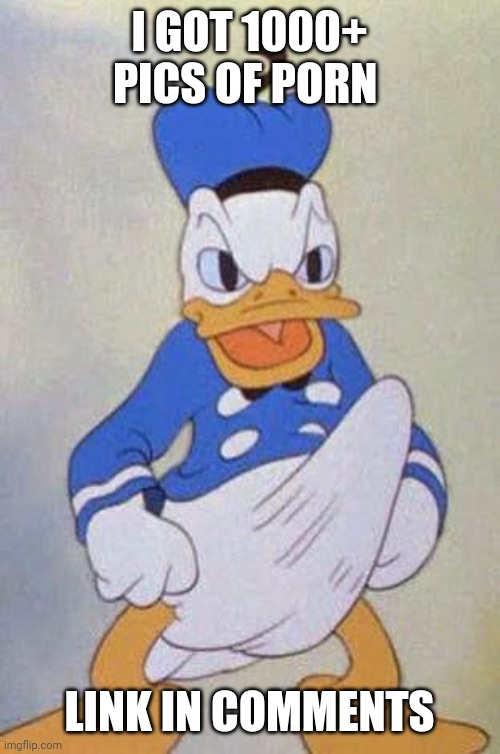 Horny Donald Duck | I GOT 1000+ PICS OF PORN; LINK IN COMMENTS | image tagged in horny donald duck | made w/ Imgflip meme maker