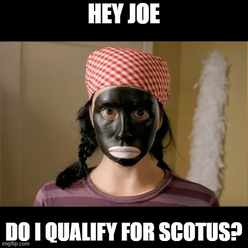 silverman | HEY JOE; DO I QUALIFY FOR SCOTUS? | image tagged in sarah silverman | made w/ Imgflip meme maker