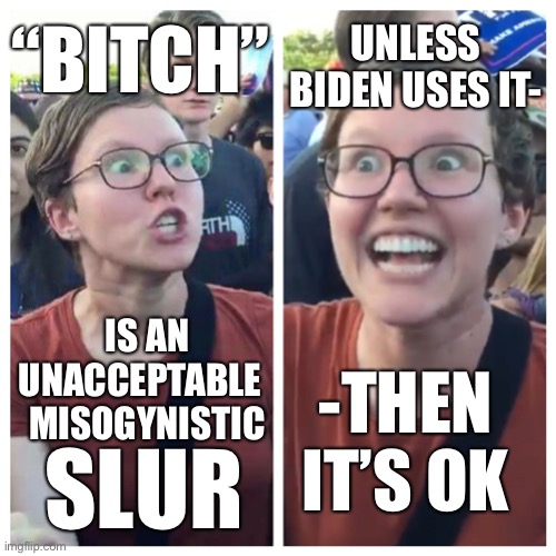 Social Justice Warrior Hypocrisy |  “BITCH”; UNLESS BIDEN USES IT-; IS AN
UNACCEPTABLE  
MISOGYNISTIC; -THEN 
IT’S OK; SLUR | image tagged in social justice warrior hypocrisy | made w/ Imgflip meme maker