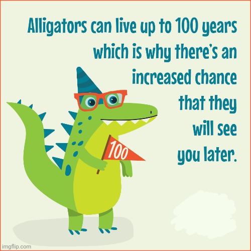Post this gator | image tagged in post,this,gator,alligator | made w/ Imgflip meme maker