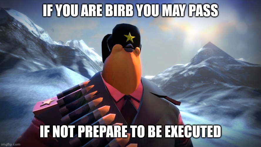 Birbs | IF YOU ARE BIRB YOU MAY PASS; IF NOT PREPARE TO BE EXECUTED | image tagged in on pootis mountain,birbs,pootis | made w/ Imgflip meme maker