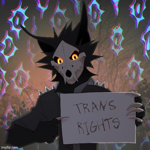 Any wingedwolf94 fans here? | image tagged in wingedwolf94,furry memes,trans rights | made w/ Imgflip meme maker