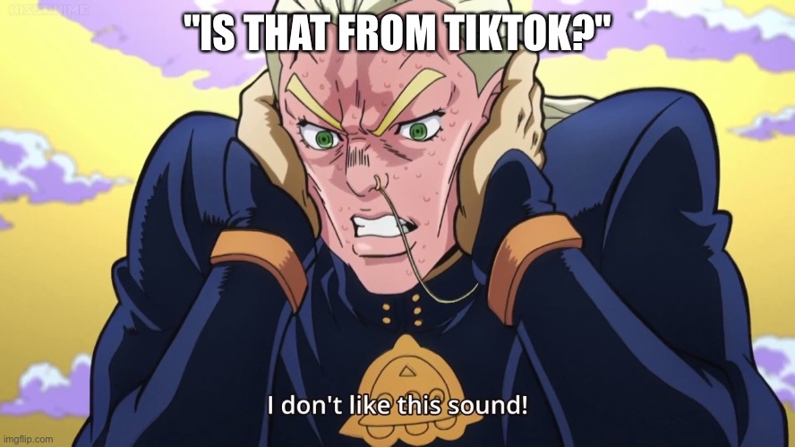 Joke | "IS THAT FROM TIKTOK?" | image tagged in jjba diu mikitaka i don't like this sound | made w/ Imgflip meme maker