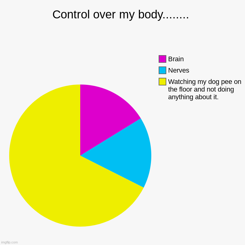 Control over body..... | Control over my body........ | Watching my dog pee on the floor and not doing anything about it., Nerves, Brain | image tagged in charts,pie charts | made w/ Imgflip chart maker
