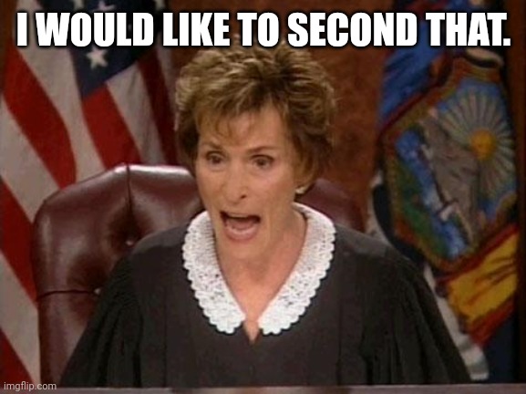 Judge Judy | I WOULD LIKE TO SECOND THAT. | image tagged in judge judy | made w/ Imgflip meme maker