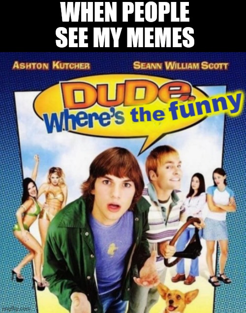 My memes | WHEN PEOPLE SEE MY MEMES | image tagged in dude where's the funny | made w/ Imgflip meme maker