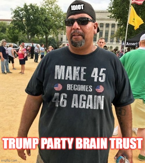 Trump Party Brain Trust | IDIOT; TRUMP PARTY BRAIN TRUST | image tagged in trump fan,trump,idiot,moron | made w/ Imgflip meme maker